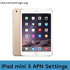 iPad mini 3 APN Internet Settings