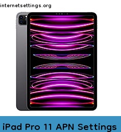 iPad Pro 11 APN Setting