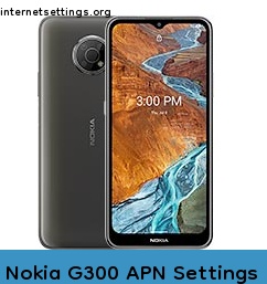 Nokia G300 APN Internet Settings