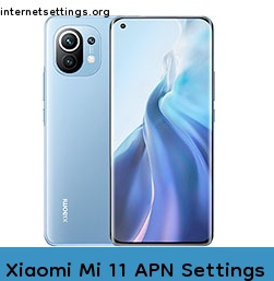 Xiaomi Mi 11 APN Internet Settings