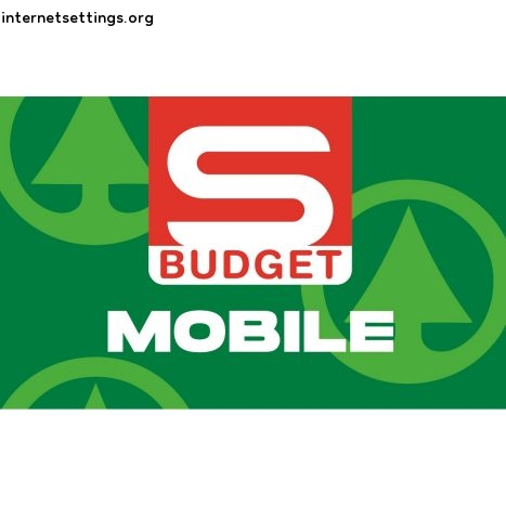 S-Budget Mobile APN Setting